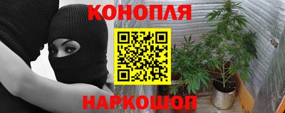 стафф Тверь