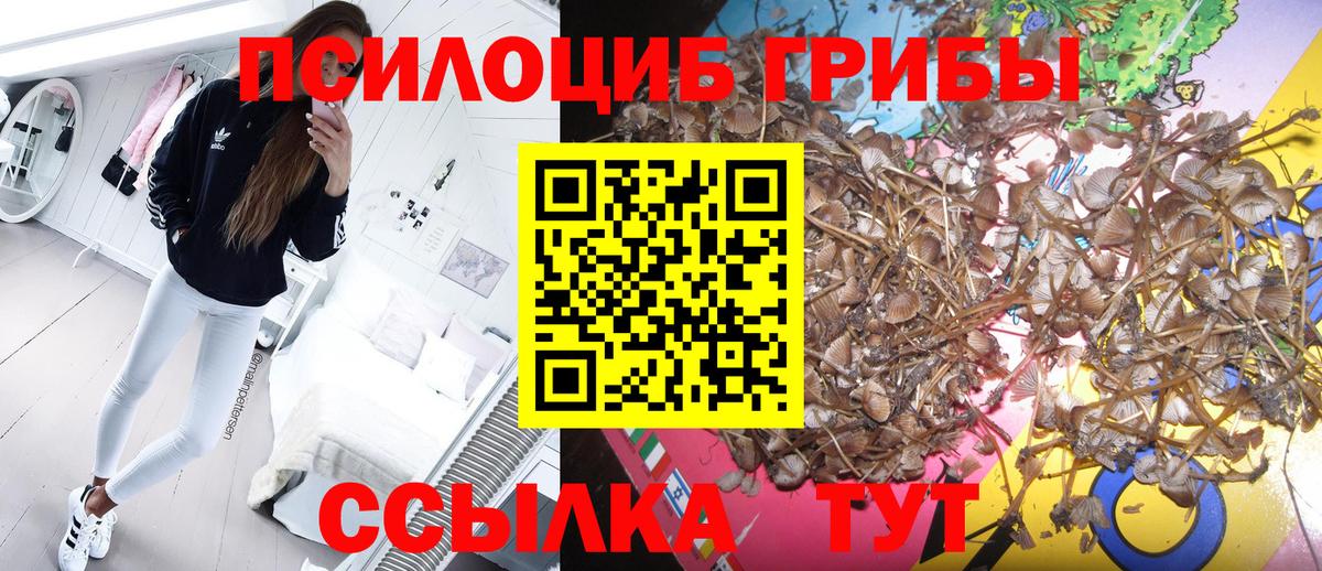 Псилоцибиновые грибы мицелий Ливны